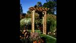 Rustic_Natural_Cedar_Outdoor_Garden_Accents_Pergola_Arbor_610_Scenic